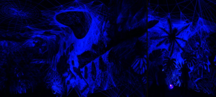 Entomogrotte stellaire - Julien Salaud - Epoustouflant, est l'enchantement assuré. Effet lumière noire, ça marche à tous les coups. Mais l'installation en dit davantage, une histoire de microcosme et de macrocosme... oui, mais c'est trop beau.