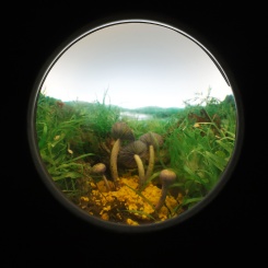 diorama vu par une fenêtre de 5 cm (2015) - Patrick Jacobs
